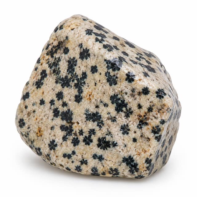 Dalmatian Jasper gemstone